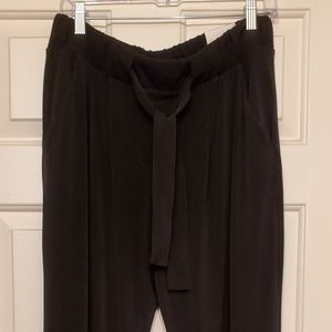 NWT Express Pants